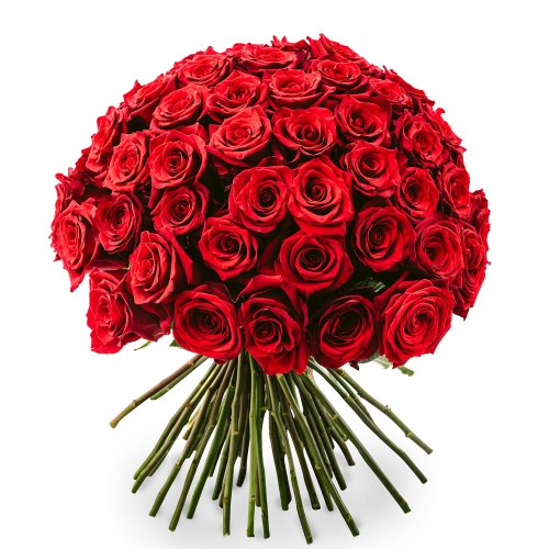 Μπουκέτο με 100 κόκκινα τριαντάφυλλα