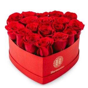 Red roses in a red heart-shaped box