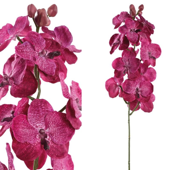 Fabric Fuchia Orchid Vanda