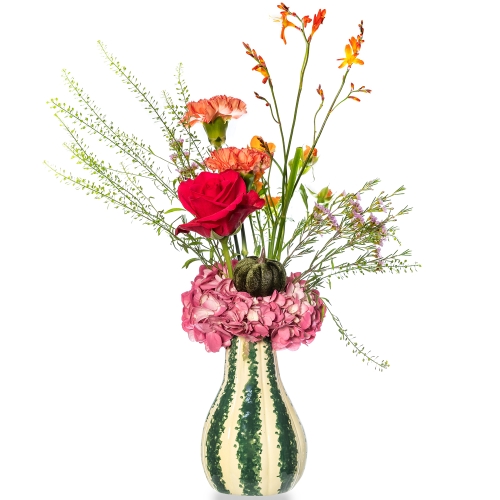 Green pumpkin with pink hydrangea and automn flowers