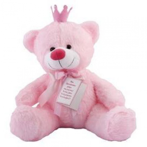 Pink princess teddy bear 48cm