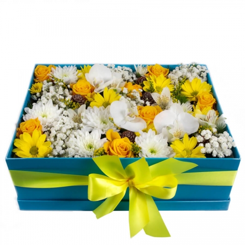 Blue arrangement in a box