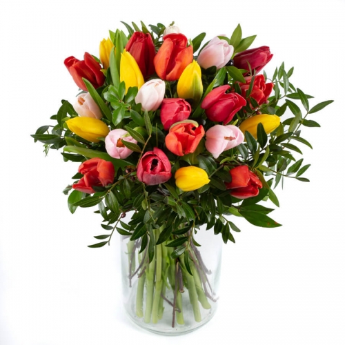 Colorful tulips bouquet