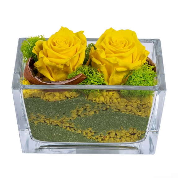Yellow preserved roses in a glass vaze
