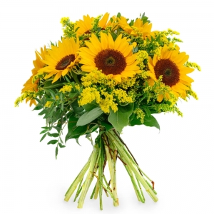 Helianthus bouquet