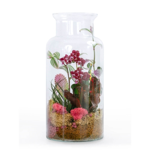Plant arrangement in glass vaze