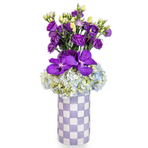 Purple flowers in a purple checkered vase