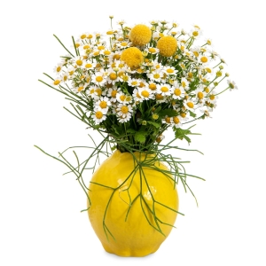 Lemon vase with chamomile