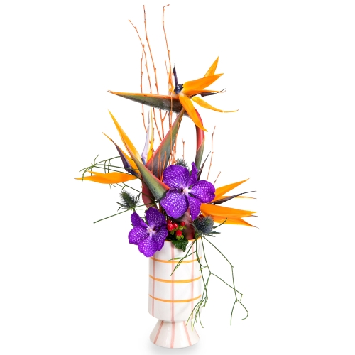 Arrangement with orchids and strelitzias