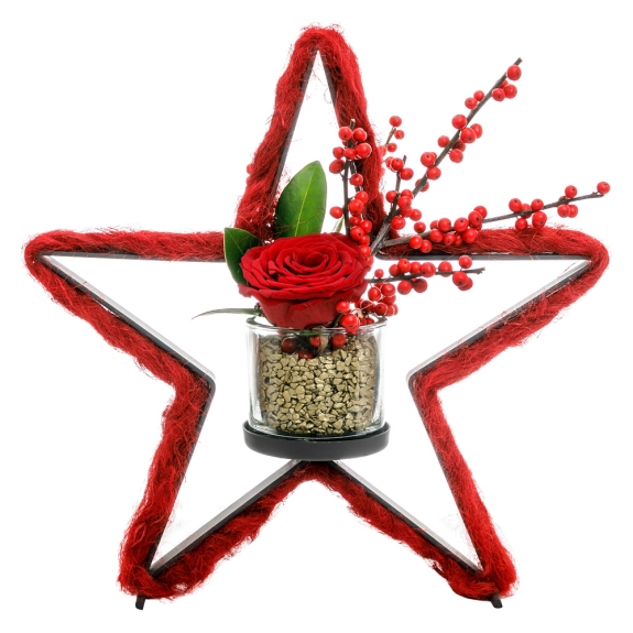 Χριστουγεννιάτικο αστέρι