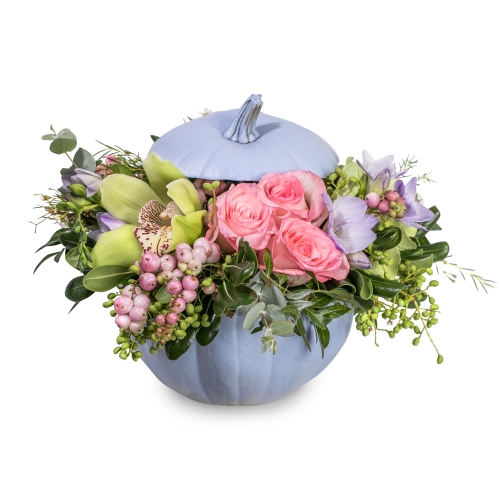 Purple pumpkin with roses, orchids and freesias