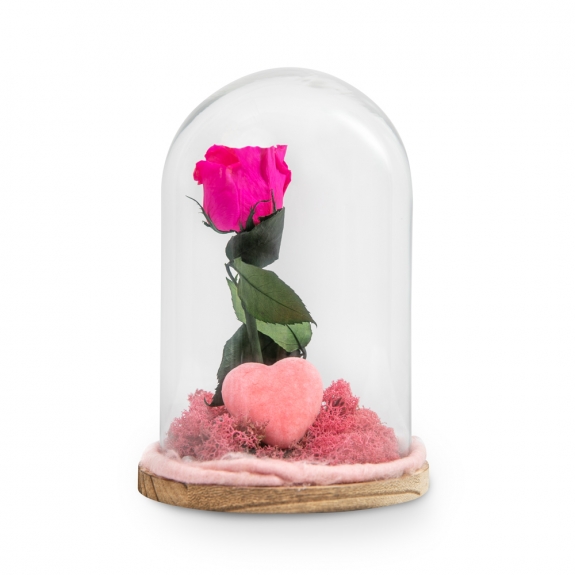 Φούξια αναλλοίωτο τριαντάφυλλο με καρδιά σε γυάλινη καμπάνα
