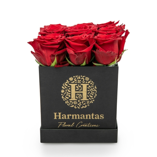Κόκκινα τριαντάφυλλα σε τετράγωνο μαύρο κουτί