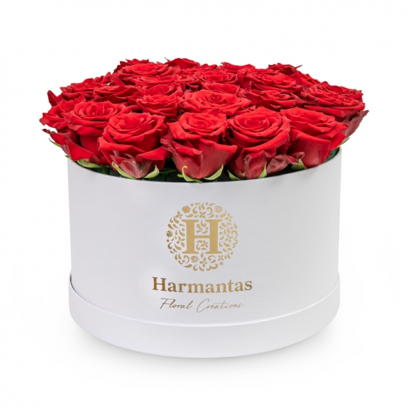 Red roses in big white box