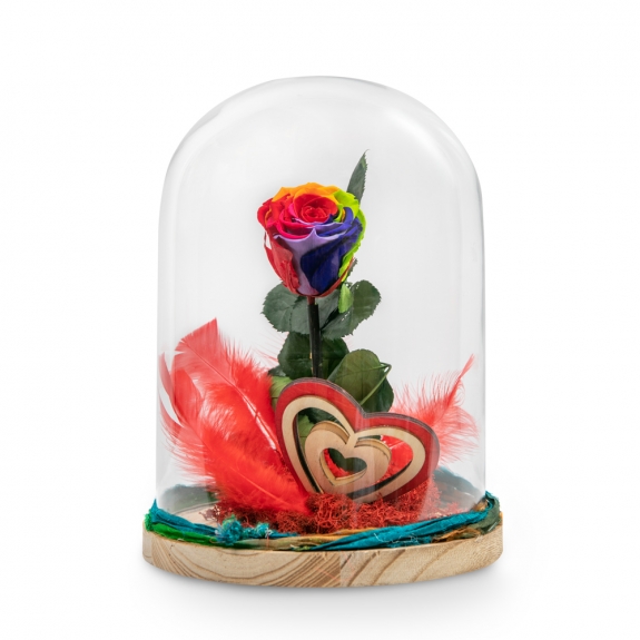 Rainbow forever rose with wooden heart and feathers 