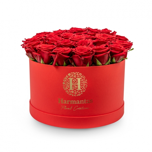 Κόκκινα τριαντάφυλλα σε μεγάλο κόκκινο κουτί