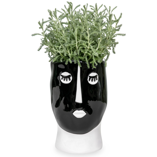 Αromatic plant in a black and white vase face