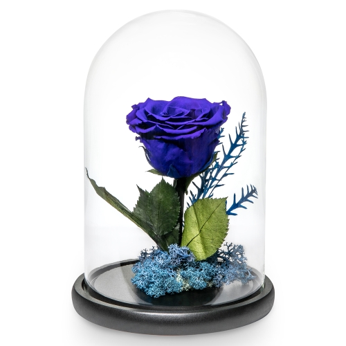 Μπλε αναλλοίωτο τριαντάφυλλο σε γυάλινη καμπάνα
