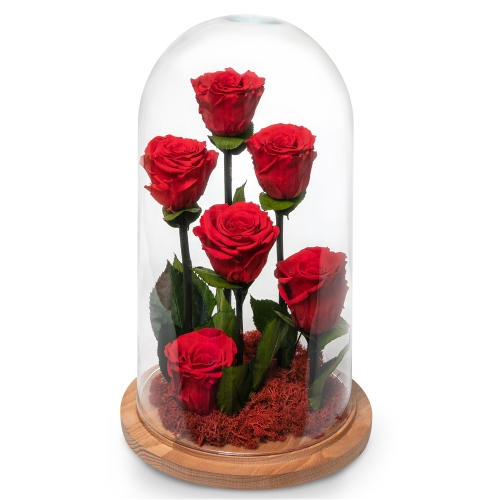 Six red preserved roses in glass