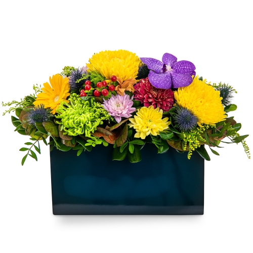 Colourful arrangement