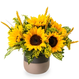 Floral arrangement with sunflowers in a pot