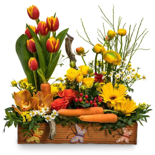 Spring garden in orange shades