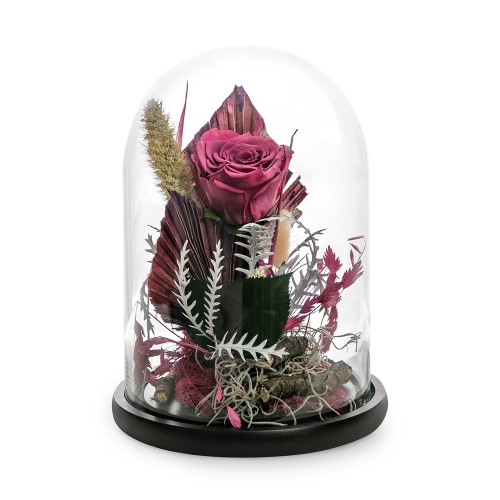 Pink preserved unique rose in glass