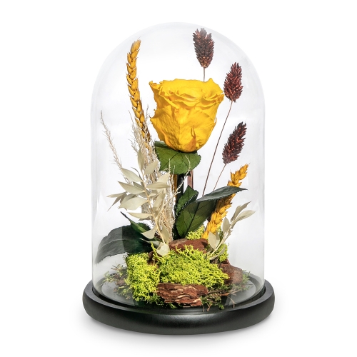 Yellow preserved rose in glass