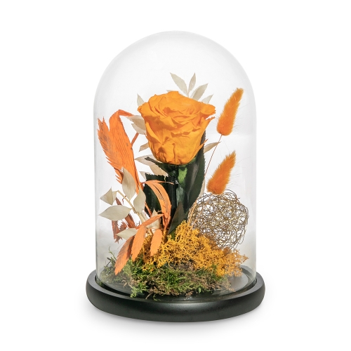 Orange preserved rose in glass