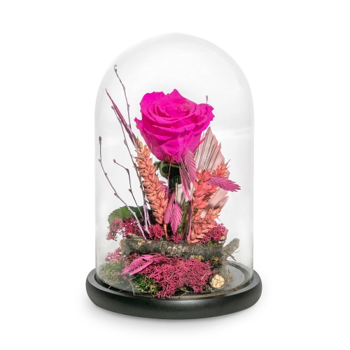 Pink preserved rose in glass