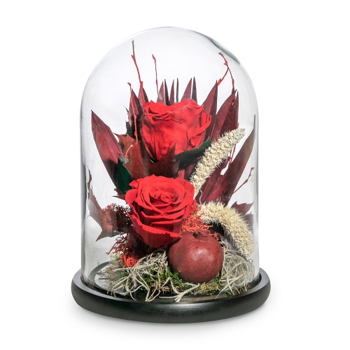 Luxury preserved red roses in glass